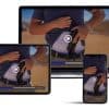 Aegis Training and Consulting LLC - The Art of Concealment - Online Class